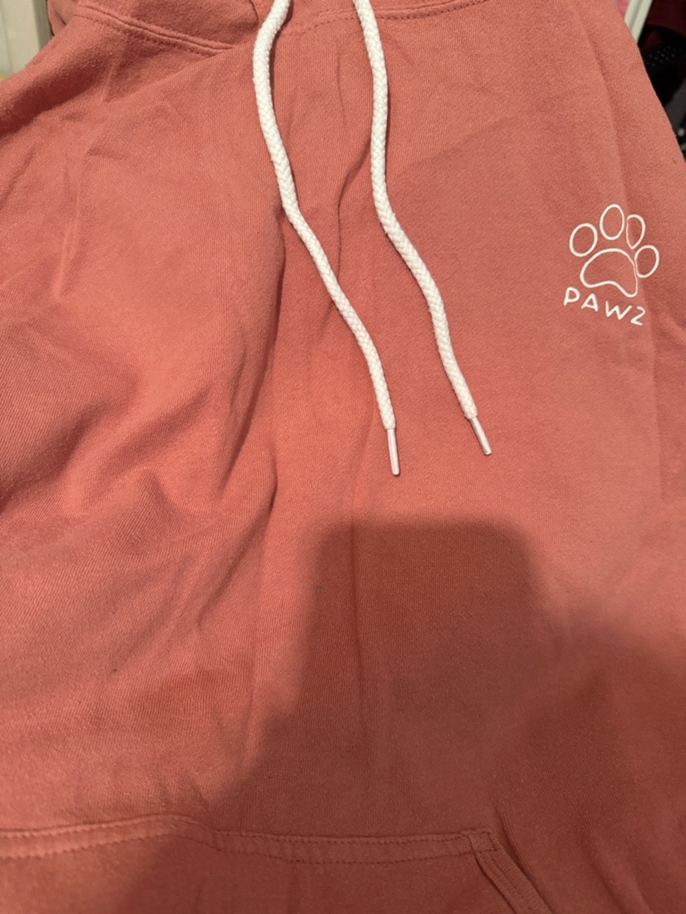 PAWZ Hoodie with White Paw Logo and White Drawstrings